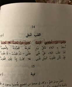 ⁦ديوان مجنون ليلى - رسومات ملونة⁩ - الصورة ⁦3⁩