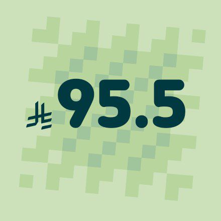 95.5