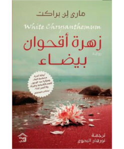 زهرة أقحوان بيضاء
