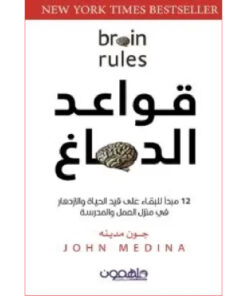 قواعد الدماغ