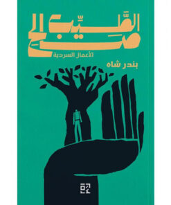 بندر شاه